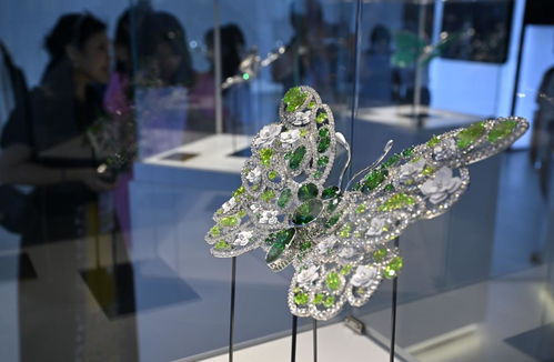 新理念引領新設計，第四屆消博會展現綠色低碳消費新風尚